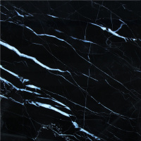 Nero Marquina, or Black Marble with White Veins in a general term