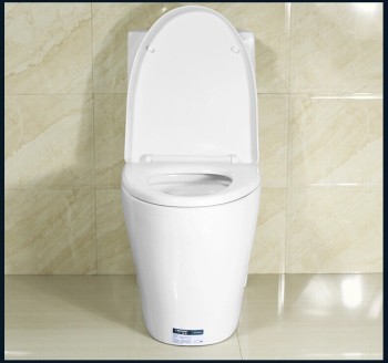 One piece Toilet T-0800