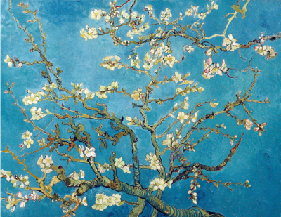 Van Gogh Apricot Flower Oil Painting YH-14018